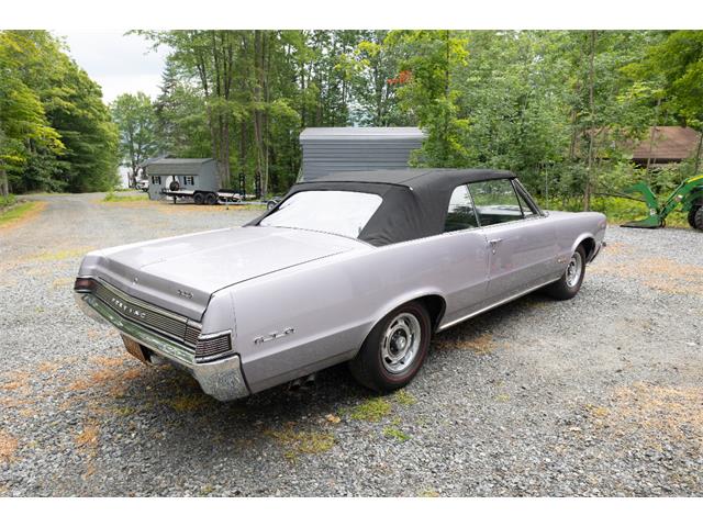 1965 Pontiac GTO (CC-2094196) for sale in Saratoga Springs, New York