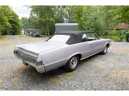 1965 Pontiac GTO (CC-2094196) for sale in Saratoga Springs, New York