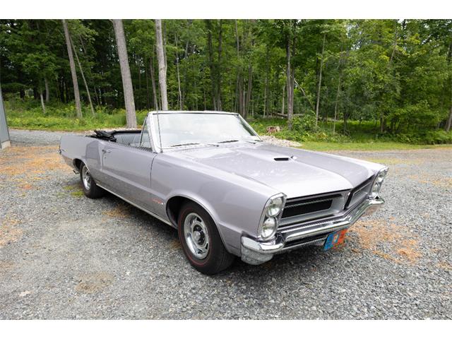 1965 Pontiac GTO (CC-2094196) for sale in Saratoga Springs, New York