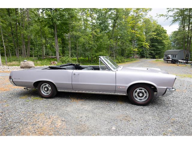 1965 Pontiac GTO (CC-2094196) for sale in Saratoga Springs, New York