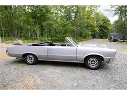 1965 Pontiac GTO (CC-2094196) for sale in Saratoga Springs, New York