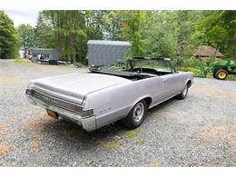 1965 Pontiac GTO (CC-2094196) for sale in Saratoga Springs, New York