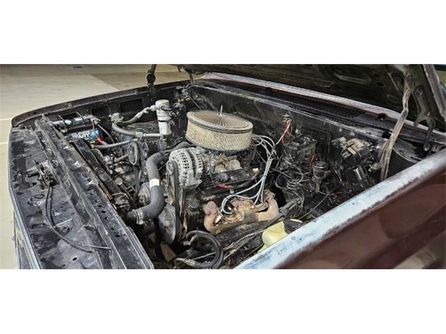 1978 Chevrolet Stepside (CC-2090421) for sale in Cadillac, Michigan