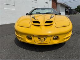 2002 Pontiac Firebird Trans Am (CC-2094214) for sale in Springfield, Massachusetts