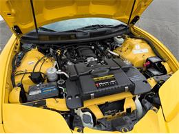 2002 Pontiac Firebird Trans Am (CC-2094214) for sale in Springfield, Massachusetts