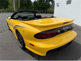 2002 Pontiac Firebird Trans Am (CC-2094214) for sale in Springfield, Massachusetts