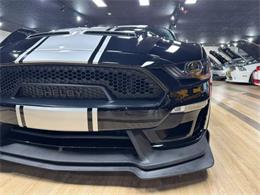 2019 Ford Mustang (CC-2094229) for sale in Greenfield, Indiana