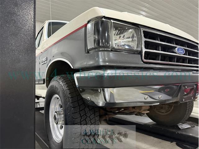 1991 Ford F250 (CC-2094238) for sale in Holland , Michigan