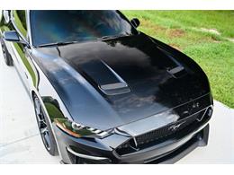 2019 Ford Mustang (CC-2094241) for sale in Warner Robins, Georgia