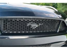 2019 Ford Mustang (CC-2094241) for sale in Warner Robins, Georgia