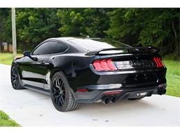 2019 Ford Mustang (CC-2094241) for sale in Warner Robins, Georgia