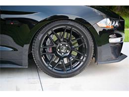 2019 Ford Mustang (CC-2094241) for sale in Warner Robins, Georgia