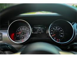 2019 Ford Mustang (CC-2094241) for sale in Warner Robins, Georgia