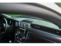 2019 Ford Mustang (CC-2094241) for sale in Warner Robins, Georgia