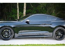2019 Ford Mustang (CC-2094241) for sale in Warner Robins, Georgia