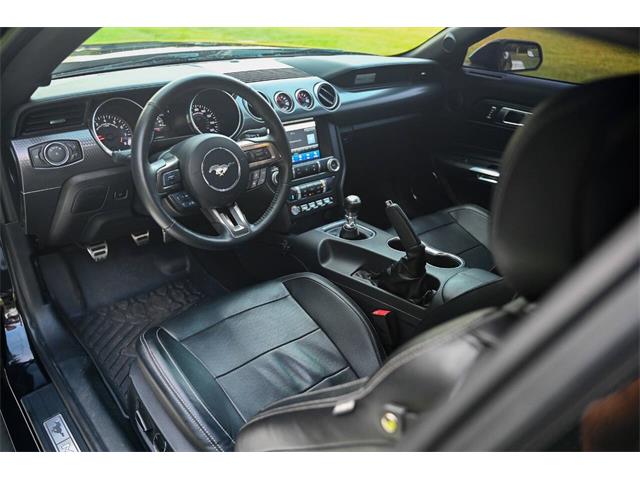 2019 Ford Mustang (CC-2094241) for sale in Warner Robins, Georgia