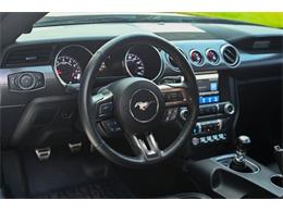 2019 Ford Mustang (CC-2094241) for sale in Warner Robins, Georgia