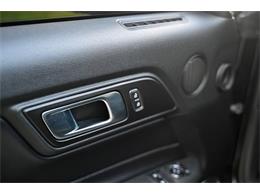 2019 Ford Mustang (CC-2094241) for sale in Warner Robins, Georgia