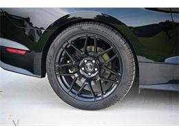 2019 Ford Mustang (CC-2094241) for sale in Warner Robins, Georgia