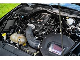 2019 Ford Mustang (CC-2094241) for sale in Warner Robins, Georgia