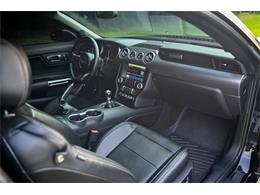 2019 Ford Mustang (CC-2094241) for sale in Warner Robins, Georgia