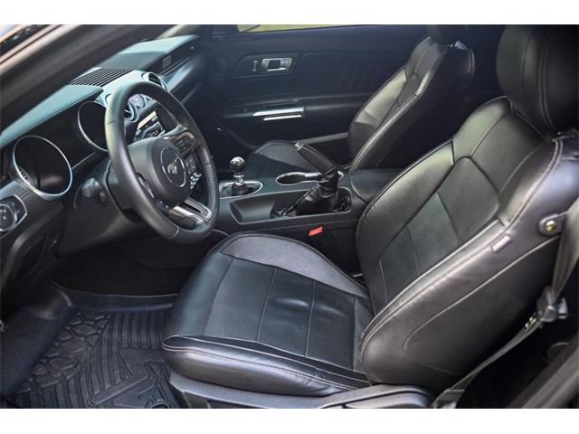 2019 Ford Mustang (CC-2094241) for sale in Warner Robins, Georgia