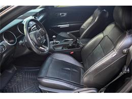 2019 Ford Mustang (CC-2094241) for sale in Warner Robins, Georgia