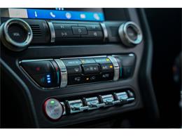 2019 Ford Mustang (CC-2094241) for sale in Warner Robins, Georgia