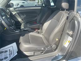 2015 Volkswagen Beetle Convertible (CC-2094252) for sale in Sarasota, Florida