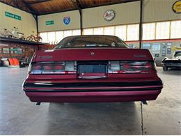 1988 Ford Thunderbird (CC-2094256) for sale in Houston, Texas