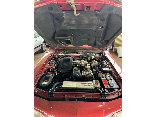 1988 Ford Thunderbird (CC-2094256) for sale in Houston, Texas