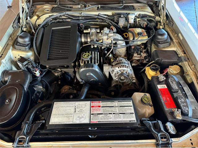 1988 Ford Thunderbird (CC-2094259) for sale in Houston, Texas