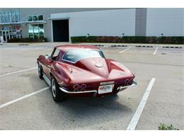 1967 Chevrolet Corvette (CC-2090427) for sale in Sarasota, Florida