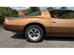 1979 Pontiac Firebird Formula (CC-2094279) for sale in Milford, Ohio