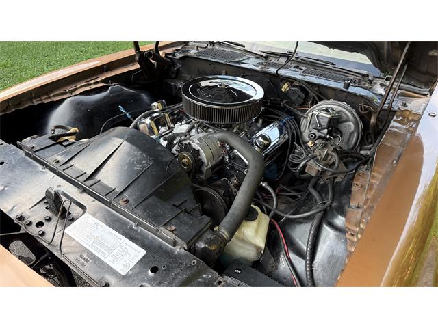 1979 Pontiac Firebird Formula (CC-2094279) for sale in Milford, Ohio