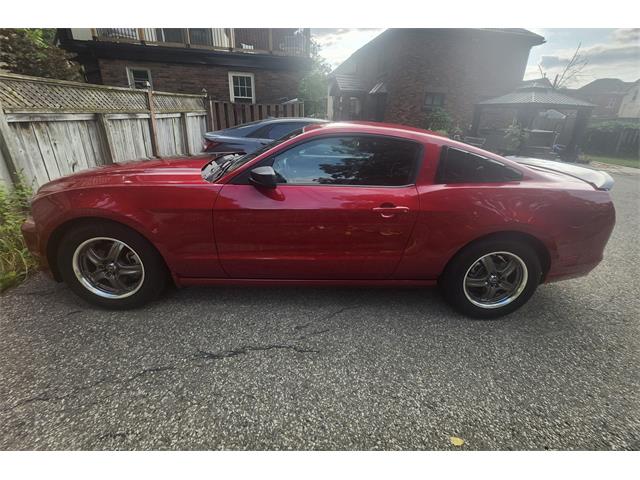 2013 Ford Mustang (CC-2094300) for sale in Kitchener , Ontario