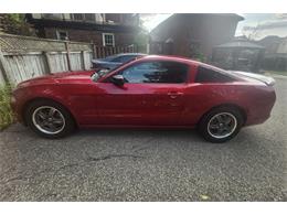 2013 Ford Mustang (CC-2094300) for sale in Kitchener , Ontario