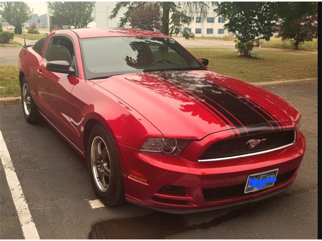 2013 Ford Mustang (CC-2094300) for sale in Kitchener , Ontario