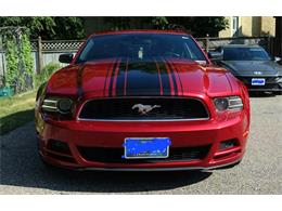 2013 Ford Mustang (CC-2094300) for sale in Kitchener , Ontario