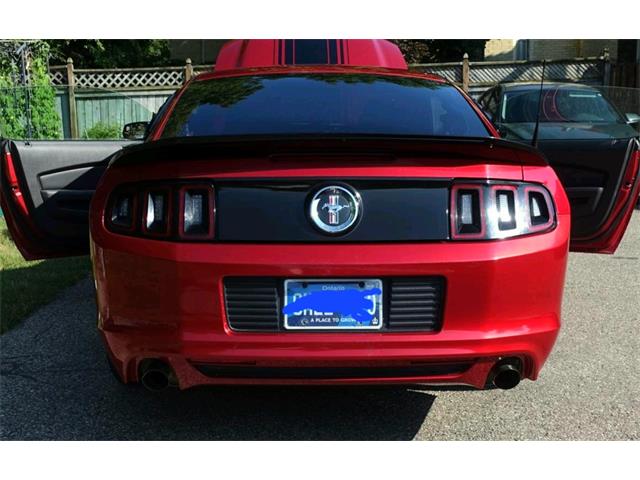 2013 Ford Mustang (CC-2094300) for sale in Kitchener , Ontario