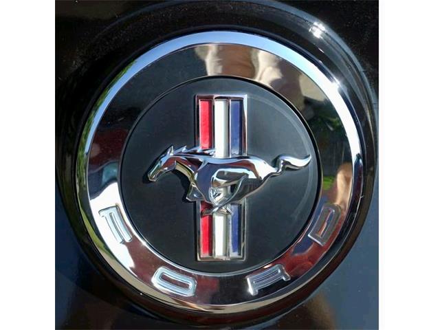 2013 Ford Mustang (CC-2094300) for sale in Kitchener , Ontario