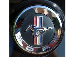 2013 Ford Mustang (CC-2094300) for sale in Kitchener , Ontario