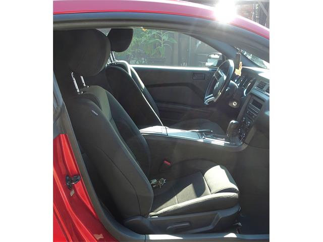2013 Ford Mustang (CC-2094300) for sale in Kitchener , Ontario