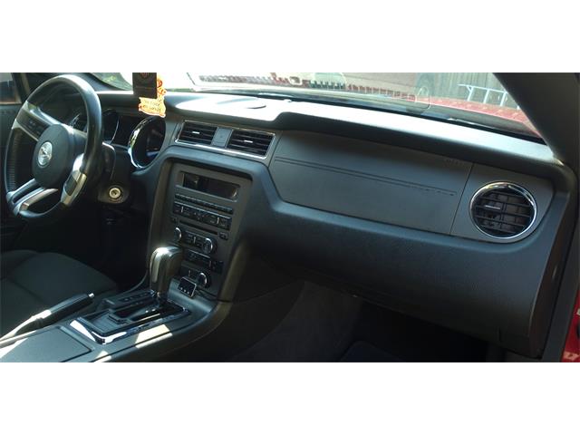 2013 Ford Mustang (CC-2094300) for sale in Kitchener , Ontario