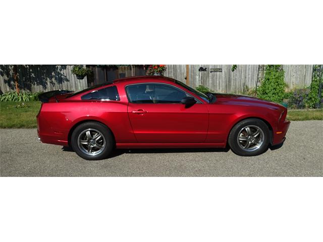 2013 Ford Mustang (CC-2094300) for sale in Kitchener , Ontario