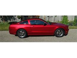 2013 Ford Mustang (CC-2094300) for sale in Kitchener , Ontario