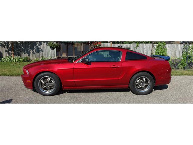 2013 Ford Mustang (CC-2094300) for sale in Kitchener , Ontario