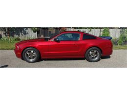 2013 Ford Mustang (CC-2094300) for sale in Kitchener , Ontario