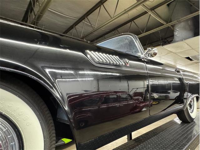 1955 Ford Thunderbird (CC-2094330) for sale in Morgantown, Pennsylvania