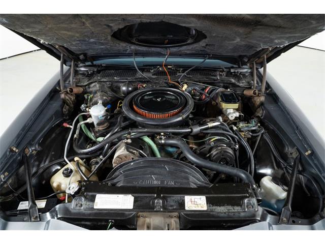 1981 Chevrolet Camaro Z28 (CC-2090434) for sale in St. Charles, Missouri